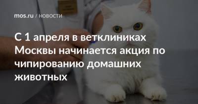 С 1 апреля в ветклиниках Москвы начинается акция по чипированию домашних животных - mos.ru - Москва
