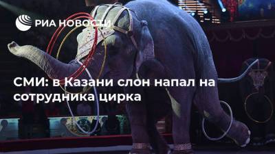 СМИ: в Казани слон напал на сотрудника цирка - ria.ru - Москва - Казань