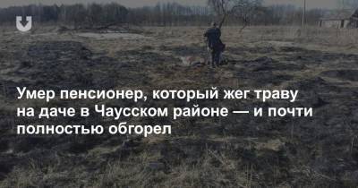 Умер пенсионер, который жег траву на даче в Чаусском районе — и почти полностью обгорел - news.tut.by