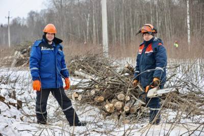 Тверьэнерго повышает надежность сетей 6-10 кВ в Калязинском районе - afanasy.biz