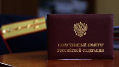 Красноярская прокуратура проверяет инцидент с массовой дракой школьников - polit.info - Красноярский край - Красноярск