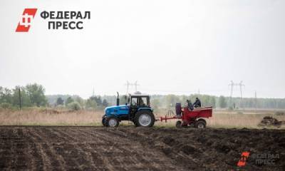 Не нефтью единой: как переломить экономический застой в Омутинском районе - fedpress.ru - Тюмень - Тюменская обл. - Тобольск - Заводоуковск