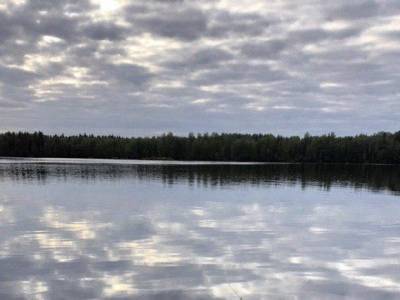 Пианистка Полина Фрадкина объяснит, где кончается шум и начинается музыка - rosbalt.ru