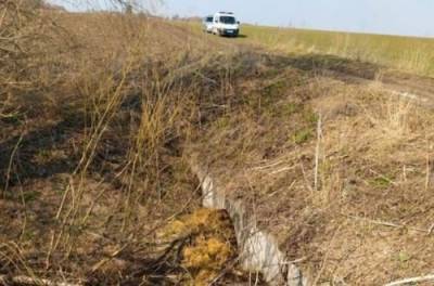 На Киевщине нашли убитым активиста Александра Мандича - from-ua.com - Киев - Печерск