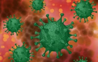 В Чехии зафиксирован новый штамм коронавируса - skuke.net - Киев - Чехия - Брно