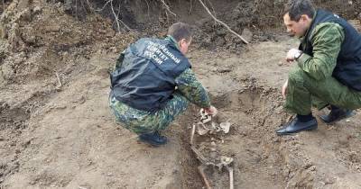 Предположительно, пали во время ВОВ: при работах в Багратионовском районе нашли останки 25 человек - klops.ru