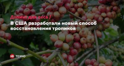 Допинг для леса. В США разработали новый способ восстановления тропиков - nv.ua - Швейцария - Коста Рика