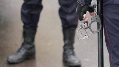 Ирина Волк - Полицейские задержали склонявшего детей к руфингу жителя Подмосковья - iz.ru - Московская обл.