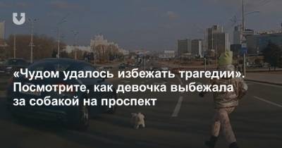 «Чудом удалось избежать трагедии». Посмотрите, как девочка выбежала за собакой на проспект - news.tut.by - Минск