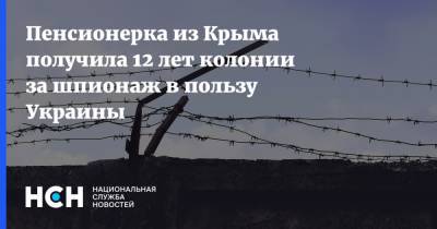 Пенсионерка из Крыма получила 12 лет колонии за шпионаж в пользу Украины - nsn.fm - Украина - Крым - Севастополь