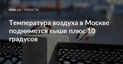Температура воздуха в Москве поднимется выше плюс 10 градусов - mos.ru - Москва