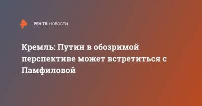 Владимир Путин - Дмитрий Песков - Элла Памфилова - Евгений Шевченко - Кремль: Путин в обозримой перспективе может встретиться с Памфиловой - ren.tv