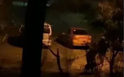 "Подбежал познакомиться": в Одессе бойцовская собака вцепилась в горло и разорвала щенка, видео - odessa.politeka.net - Одесса