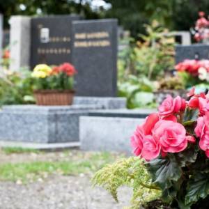 В Запорожье до 26 апреля поручили привести в порядок городские кладбища - reporter-ua.com - Запорожье - Благоустройство