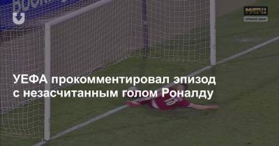 Фернанду Сантуш - УЕФА прокомментировал эпизод с незасчитанным голом Роналду - news.tut.by - Сербия - Португалия