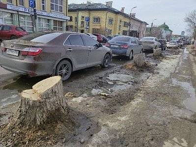 «Северная компания» заявила, что высадит 50 деревьев взамен срубленных на улице Радищева - ya62.ru - Рязань - Застройка