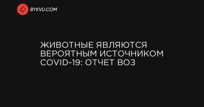 Животные являются вероятным источником COVID-19: отчет ВОЗ - bykvu.com - Ухань