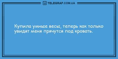 Анекдоты на вечер 29 марта, от которых вы будете хохотать - ТЕЛЕГРАФ - telegraf.com.ua