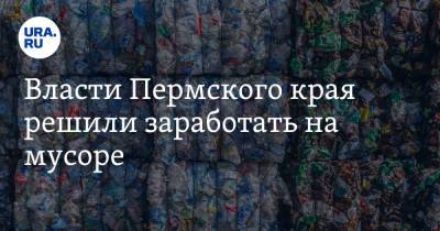 Дмитрий Махонин - Власти Пермского края решили заработать на мусоре - ura.news - Санкт-Петербург - Пермский край
