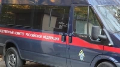 Видео с танцующей у Вечного огня девушкой проверяют в СК - nation-news.ru - Подольск