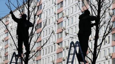 Татьяна Васильева - Обрезка деревьев: как "разбудить" спящие почки ради богатого урожая - vesti.ru