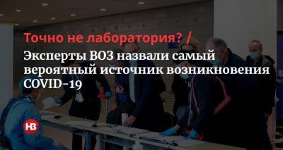 Точно не лаборатория? Эксперты ВОЗ назвали самый вероятный источник возникновения COVID-19 - nv.ua - Ухань