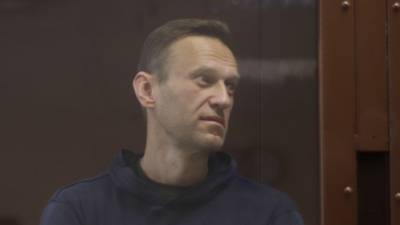 Ольга Михайлова - Навальный - Запад попытался вмешаться в дела РФ после неоднозначного высказывания юриста Навального - polit.info