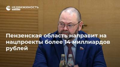 Олег Мельниченко - Пензенская область направит на нацпроекты более 14 миллиардов рублей - realty.ria.ru - Пензенская обл. - Строительство