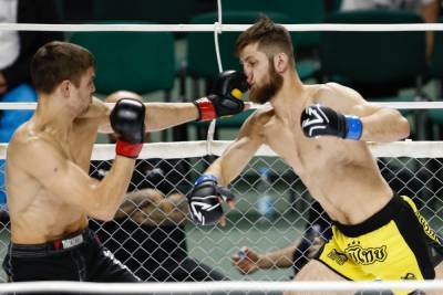 Из-за отказа в аренде «Ленэкспо» перенесли чемпионат по боям без правил - abnews.ru