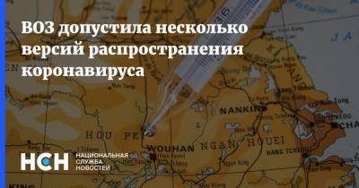 ВОЗ допустила несколько версий распространения коронавируса - nsn.fm - Китай - Ухань