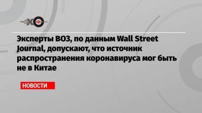 Эксперты ВОЗ, по данным Wall Street Journal, допускают, что источник распространения коронавируса мог быть не в Китае - echo.msk.ru - Washington - Ухань