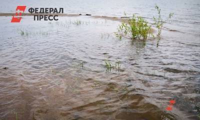 Андрей Никитин - В Волхове ликвидировали нефтяное пятно, угрожавшее двум регионам - fedpress.ru - Ленинградская обл. - Новгородская обл. - Великий Новгород
