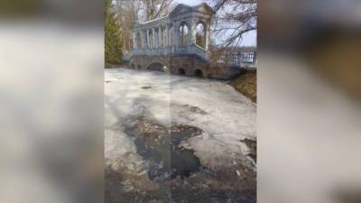 В Екатерининском парке Петербурга заметили погибшую рыбу - piter.tv - Санкт-Петербург