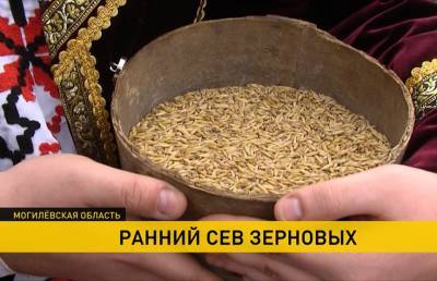 На Могилёвщине провели традиционный обряд «Засевки» – залог хорошего урожая - ont.by