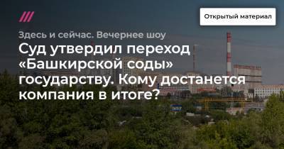 Суд утвердил переход «Башкирской соды» государству. Кому достанется компания в итоге? - tvrain.ru - Башкирия