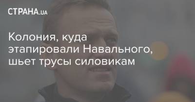 Алексей Навальный - Колония, куда этапировали Навального, шьет трусы силовикам - strana.ua - Москва - Владимирская обл.