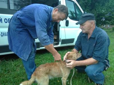 Где и когда смоляне смогут бесплатно привить своего питомца от бешенства - rabochy-put.ru - Смоленск - район Ленинский