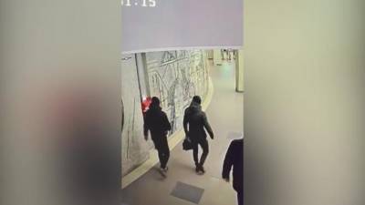 В Петербурге и Архангельской области поймали соучастников, обокравших пенсионеров - piter.tv - Санкт-Петербург - Архангельская обл. - окр.Сзфо