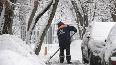 Евгений Тишковец - Февраль в Москве в 2021 году стал самым снежным за семь лет - russian.rt.com - Москва