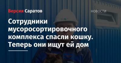 Сотрудники мусоросортировочного комплекса спасли кошку. Теперь они ищут ей дом - nversia.ru - Энгельсск
