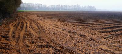 Приставы отдают по дешевке участок земли в районе Карелии - stolicaonego.ru - район Олонецкий - республика Карелия