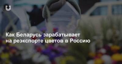 Как Беларусь зарабатывает на реэкспорте цветов в Россию - news.tut.by - Колумбия - Голландия - Эквадор - Кения