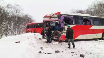 На Камчатке в ДТП с двумя автобусами погибли два человека, восемь пострадали - mir24.tv - Петропавловск - Камчатск