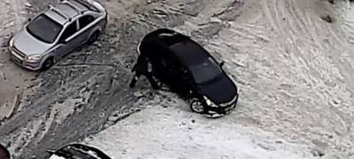 В ГИБДД Петрозаводска рассказали, почему пешеход напал на автомобиль - stolicaonego.ru - Петрозаводск