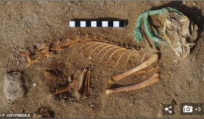 В Египте обнаружили старейшее в мире кладбище домашних животных - newizv.ru - Египет