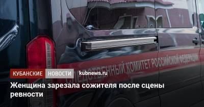 Женщина зарезала сожителя после сцены ревности - kubnews.ru - Краснодарский край - Следственный Комитет