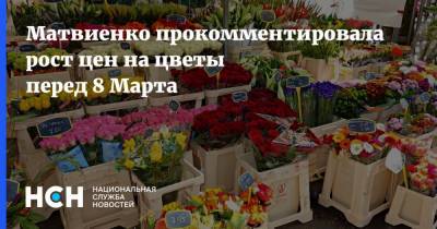Валентина Матвиенко - Алексей Ситников - Матвиенко прокомментировала рост цен на цветы перед 8 Марта - nsn.fm