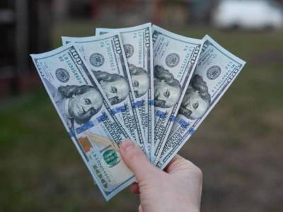 Украинцы продолжают массово скупать валюту - lenta.ua - Украина