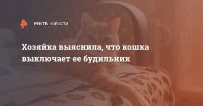 Хозяйка выяснила, что кошка выключает ее будильник - ren.tv