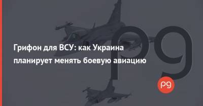 Грифон для ВСУ: как Украина планирует менять боевую авиацию - thepage.ua
